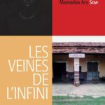 Les veines de l'infini - Poésie