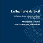 L'effectivité du droit - De l'aptitude du droit objectif à la satisfaction de l'intérêt particulier - Mélanges en l'honneur du Professeur François Anoukaha