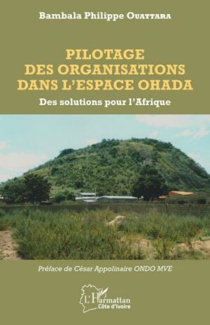 Pilotage des organisations dans l'espace OHADA - Des solutions pour l'Afrique