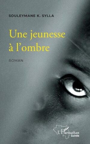 Une jeunesse à l'ombre - Roman