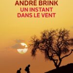 Un instant dans le vent