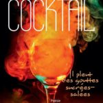 Cocktail. Il pleut des gouttes sucrées-salées - Poésie