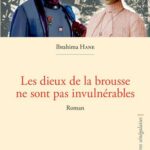 Les dieux de la brousse ne sont pas invulnérables - Roman