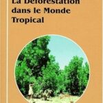 La déforestation dans le monde tropical