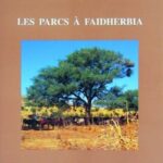 Les parcs à faidherbia