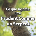 Ce que signifie être prudent comme un serpent