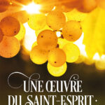 Une oeuvre du Saint-Esprit : ses vrais signes