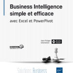 Business Intelligence simple et efficace avec Excel et PowerPivot