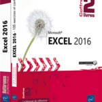 Excel 2016 Coffret de 2 livres : Le Manuel de référence + le Cahier d'exercices