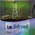 Le réveil du premier amour