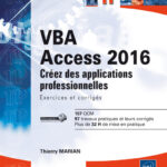 VBA Excel 2016 Créez des applications professionnelles : Exercices et corrigés