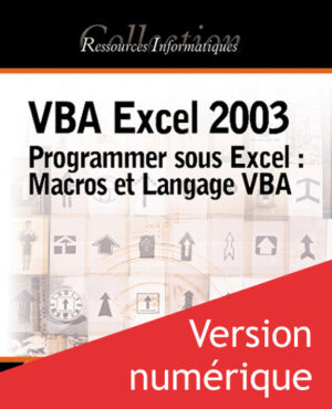VBA Excel 2003 Programmer sous Excel : Macros et Langage VBA - Version en ligne