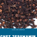Clou de Girofle