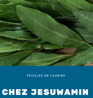 Feuilles de Laurier