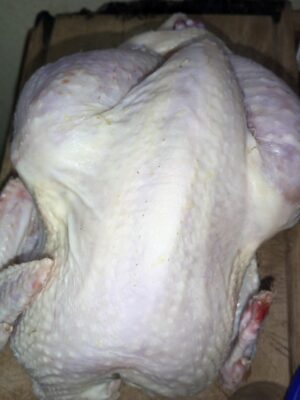 Poulet chair