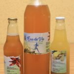 Élixir de Vie, Eau de vie, kombucha Drink